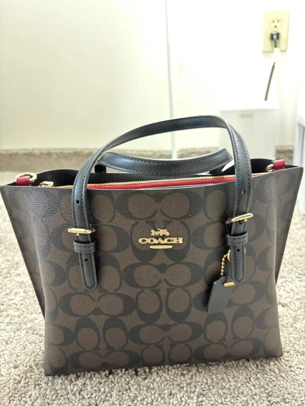 Mollie Tote Bag 25 In Signature Canvas